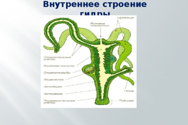 Кракен наркокортель